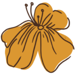 soothe logo
